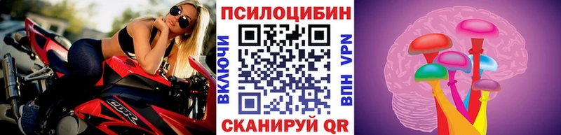 Галлюциногенные грибы GOLDEN TEACHER цены наркотик Большой Камень