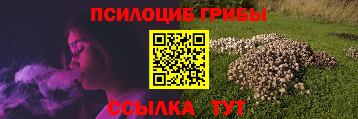 Галлюциногенные грибы прущие грибы  Галлюциногенные грибы Magic Shrooms  Большой Камень  Вход с VPN 